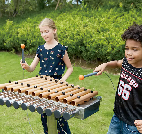 נושא מותאם אישית